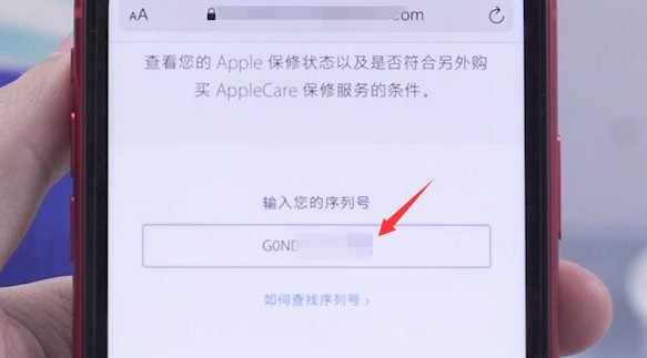 10-將剛剛復(fù)制的序列號粘貼進入