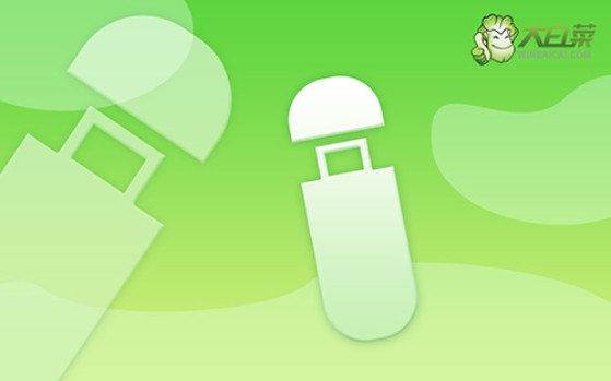 大白菜u盤安裝系統(tǒng)教程，大白菜U盤安裝系統(tǒng)教程